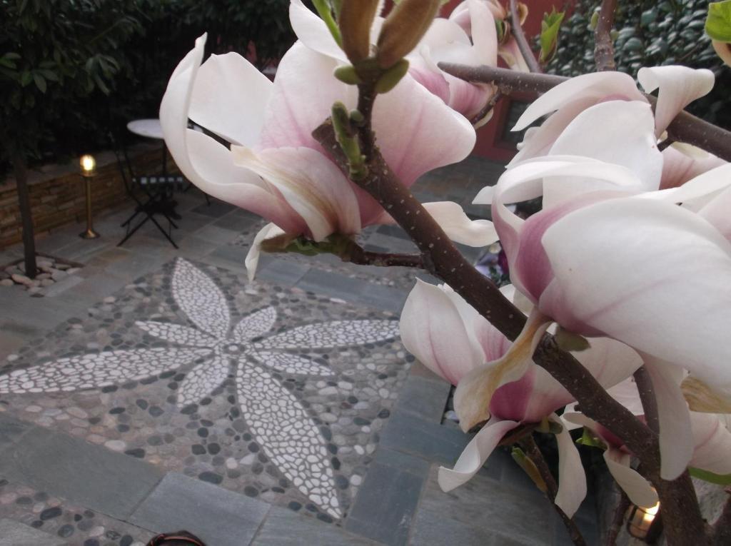 Boutique Hotel Kokkino Spiti Veria  Esterno foto
